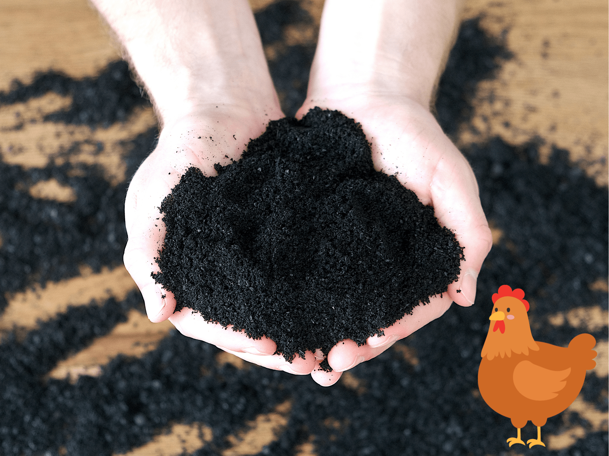 Futterkohle Für Hühner 500g - Pflanzenkohle Zur Futterbeigabe Ohne Zusätze