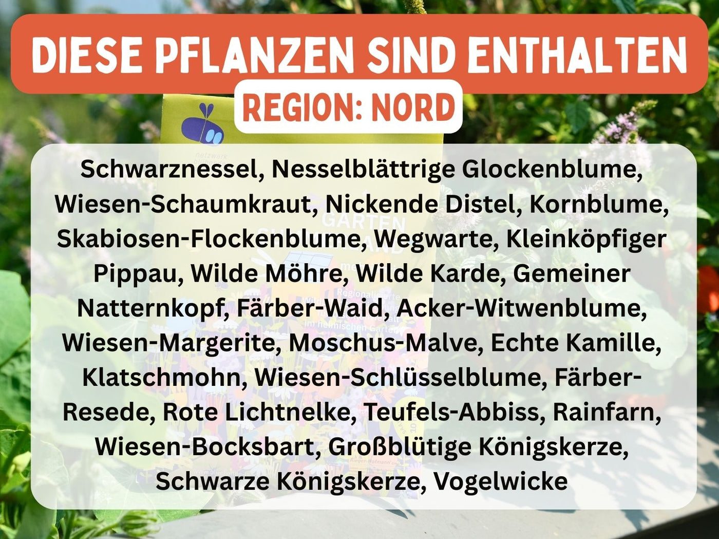 regionalisierte Wildpflanzen Saatgutmischung für 10m² (Garten Summerland)