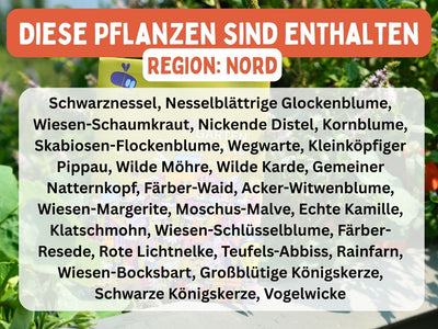 regionalisierte Wildpflanzen Saatgutmischung für 10m² (Garten Summerland)