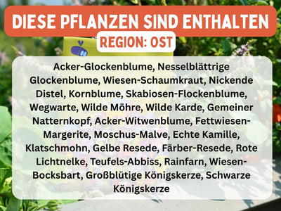 regionalisierte Wildpflanzen Saatgutmischung für 10m² (Garten Summerland)
