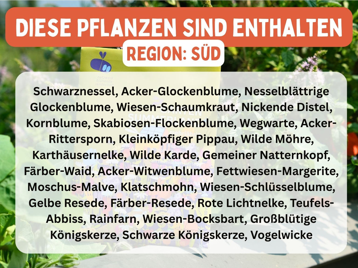 regionalisierte Wildpflanzen Saatgutmischung für 10m² (Garten Summerland)