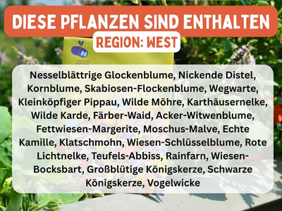 regionalisierte Wildpflanzen Saatgutmischung für 10m² (Garten Summerland)