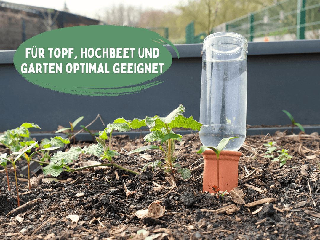 Pflanzenbewässerungsaufsatz 3er-Set Blumentopf Wasserspender Bewässerungssystem