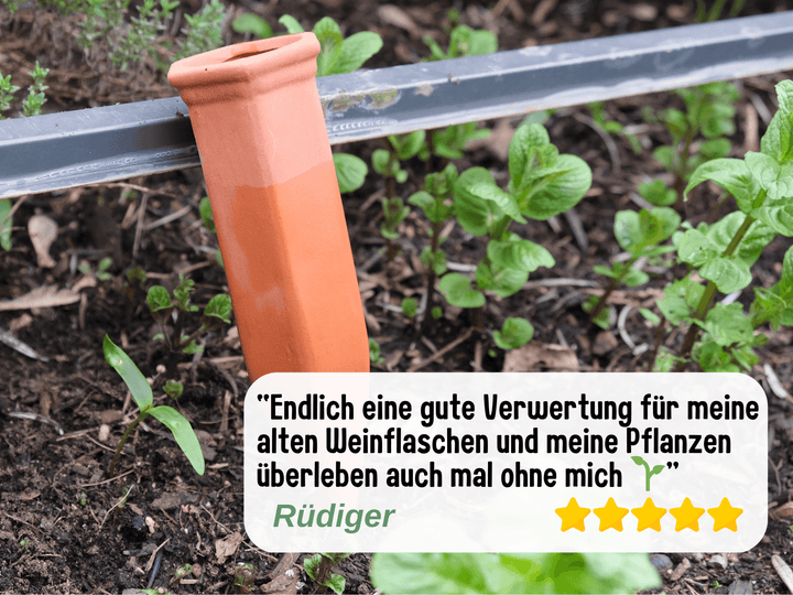 Bewässerungszapfen für effiziente Pflanzenbewässerung💧 – keep it grün
