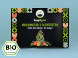 Bio Saatgut Mischkultur-Set '3 Schwestern'
