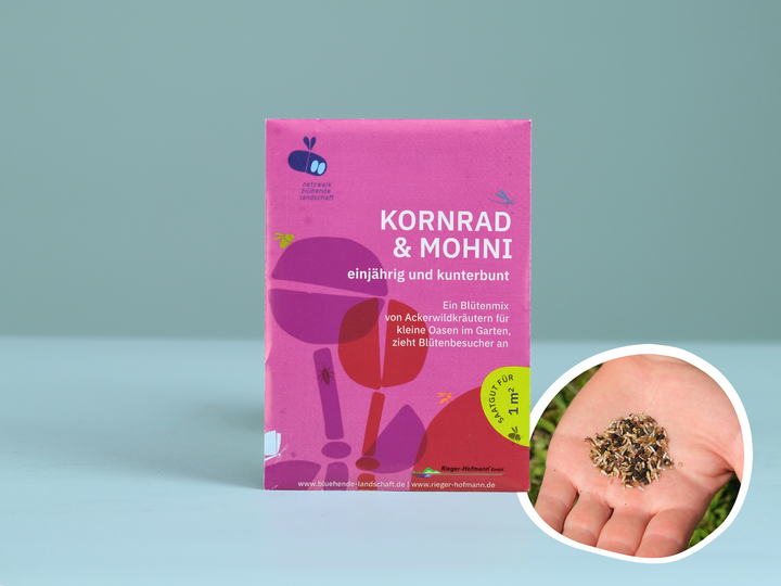 ackerwildkräuter saatgut Saatgutmischung Wildblumen für den Garten kaufen 🐝 – keep it grün
