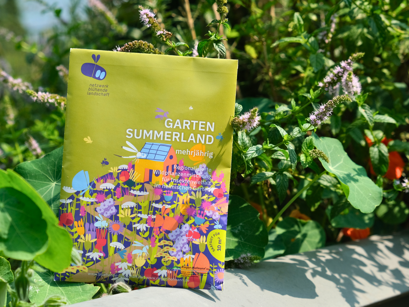 regionalisierte Wildpflanzen Saatgutmischung für den Garten (Garten Summerland)