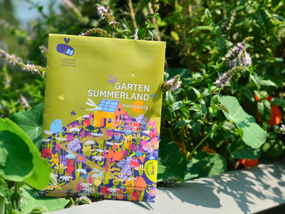 regionalisierte Wildpflanzen Saatgutmischung für den Garten (Garten Summerland)