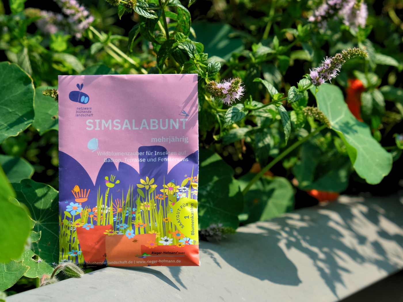 Saatgutmischung Wildblumen für Balkon und Topf (Simsalabunt)