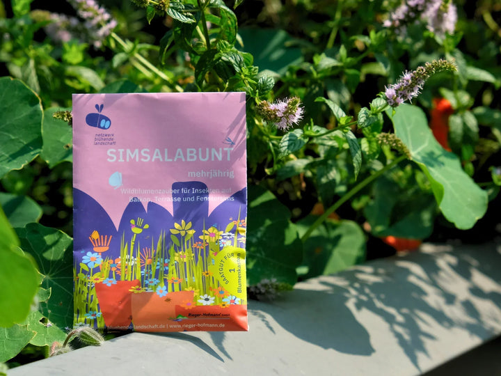 Saatgutmischung Wildblumen für Balkon & Topf 🌼 – keep it grün