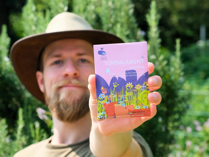 Saatgutmischung Wildblumen für Balkon & Topf 🌼 – keep it grün
