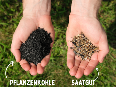 regionalisierte Wildpflanzen Saatgutmischung für den Garten (Garten Summerland)