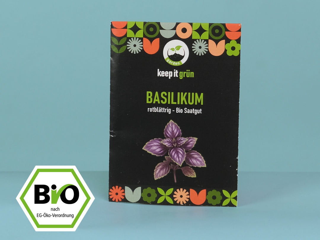 basilikum saatgut gewinnen Bio Saatgut Basilikum rotblättrig – keep it grün