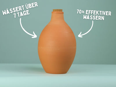 Olla Bewässerungskrug aus Ton (4l)