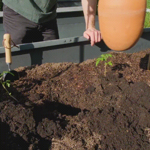Olla Bewässerung für den Garten kaufen 💧 – keep it grün